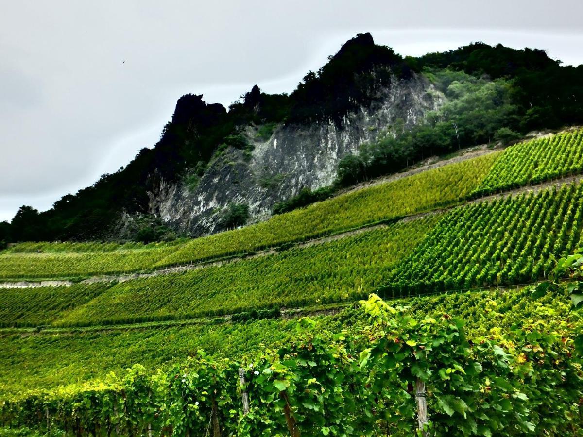 באד הונף אם ריין Weingut Und Hotel Haus Am Drachenloch מראה חיצוני תמונה